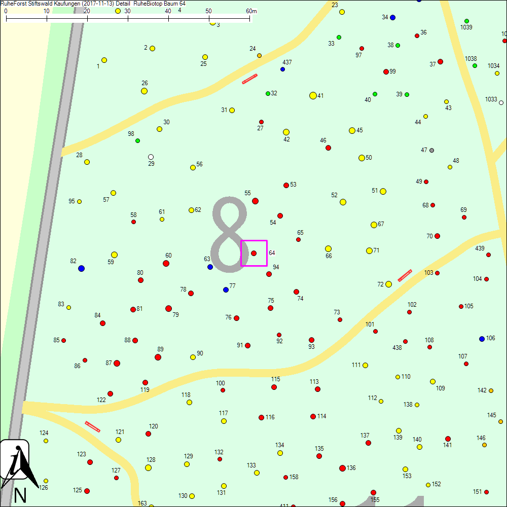 Detailkarte zu Baum 64