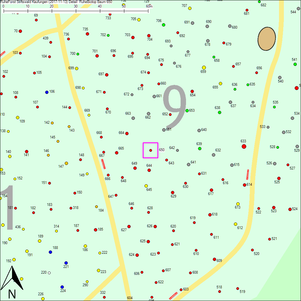 Detailkarte zu Baum 650