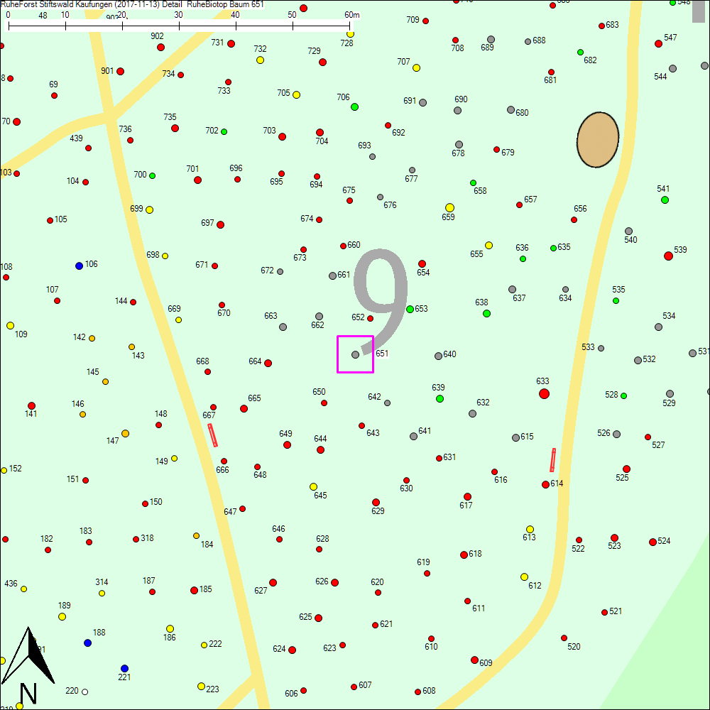 Detailkarte zu Baum 651