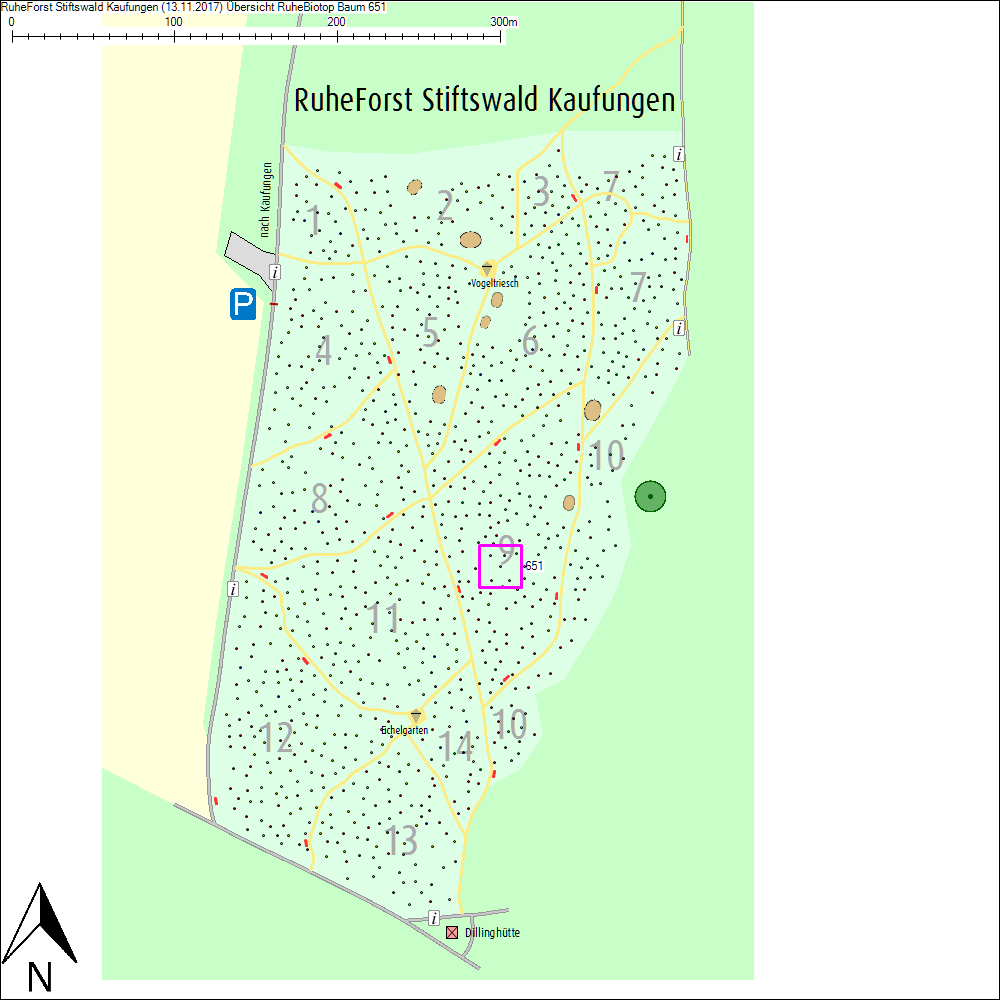 &Uuml;bersichtskarte zu Baum 651