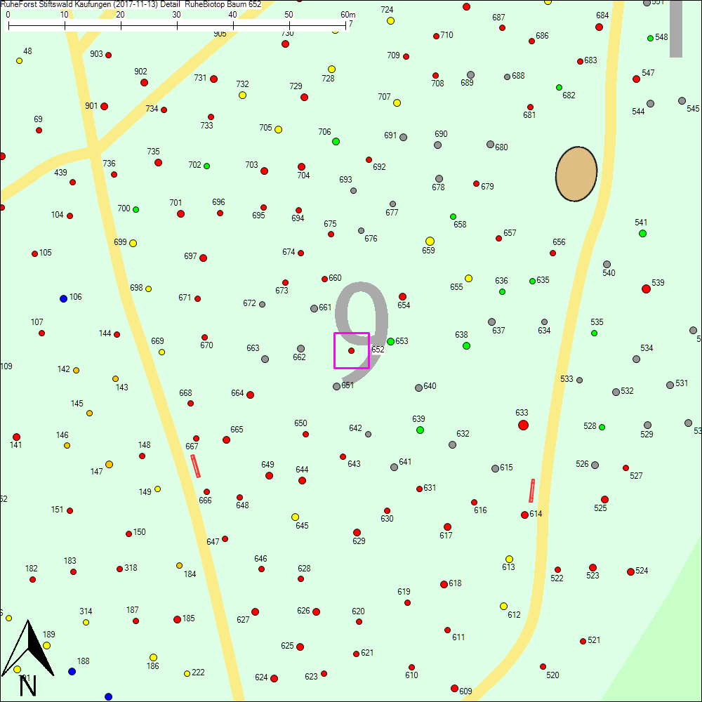 Detailkarte zu Baum 652
