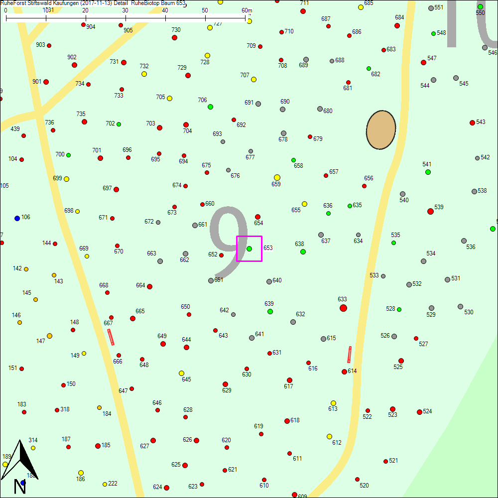 Detailkarte zu Baum 653