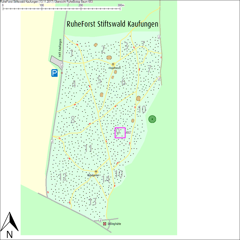 &Uuml;bersichtskarte zu Baum 653