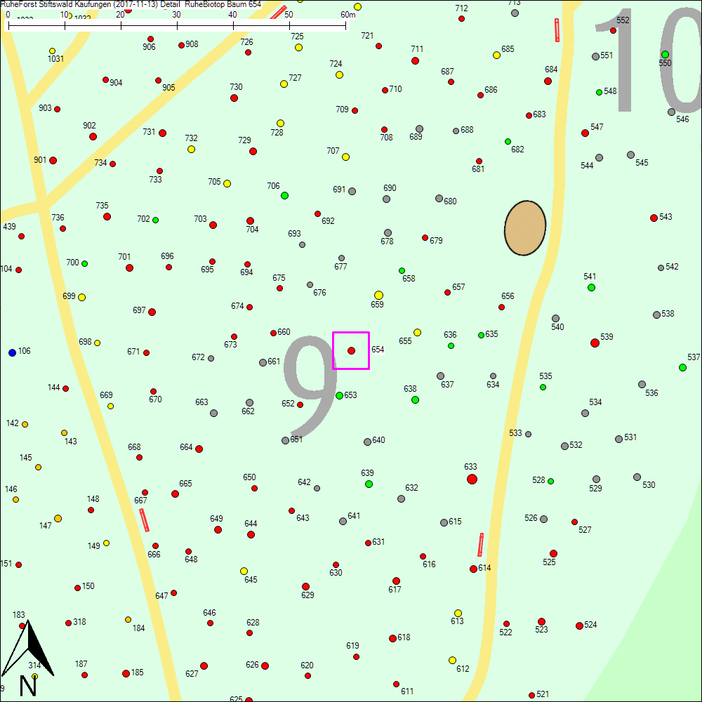 Detailkarte zu Baum 654