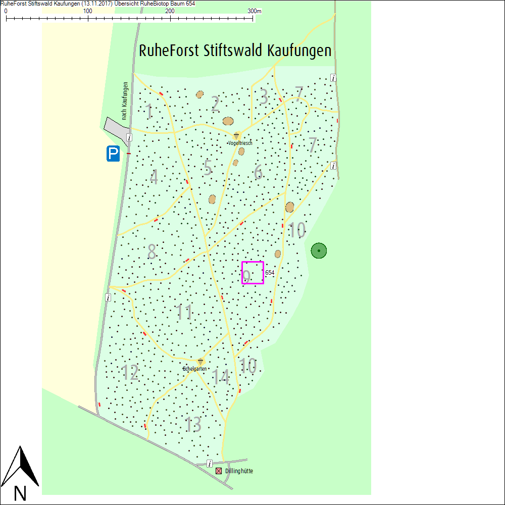 &Uuml;bersichtskarte zu Baum 654