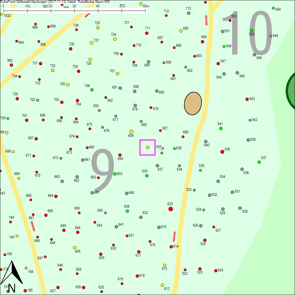 Detailkarte zu Baum 655