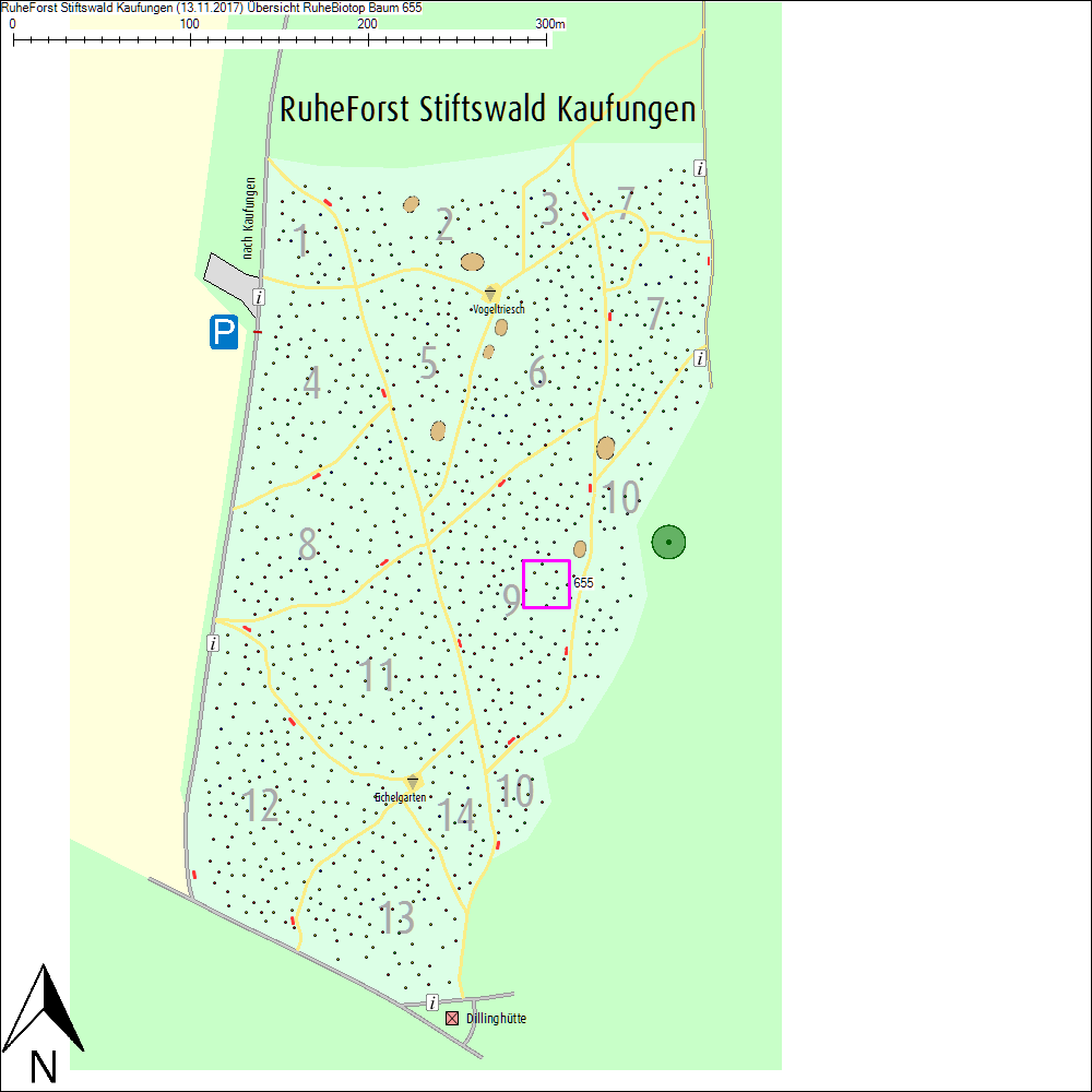 &Uuml;bersichtskarte zu Baum 655
