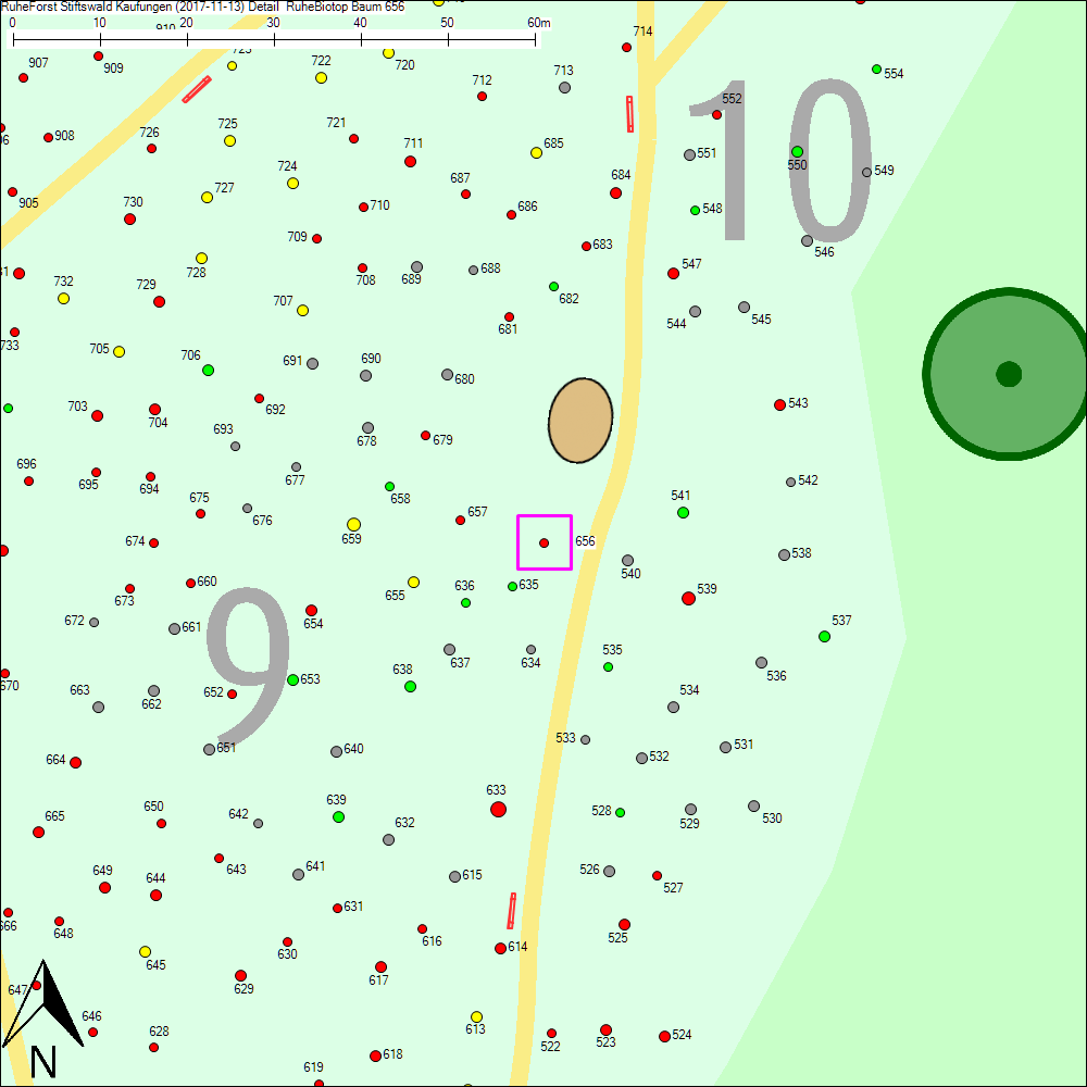 Detailkarte zu Baum 656
