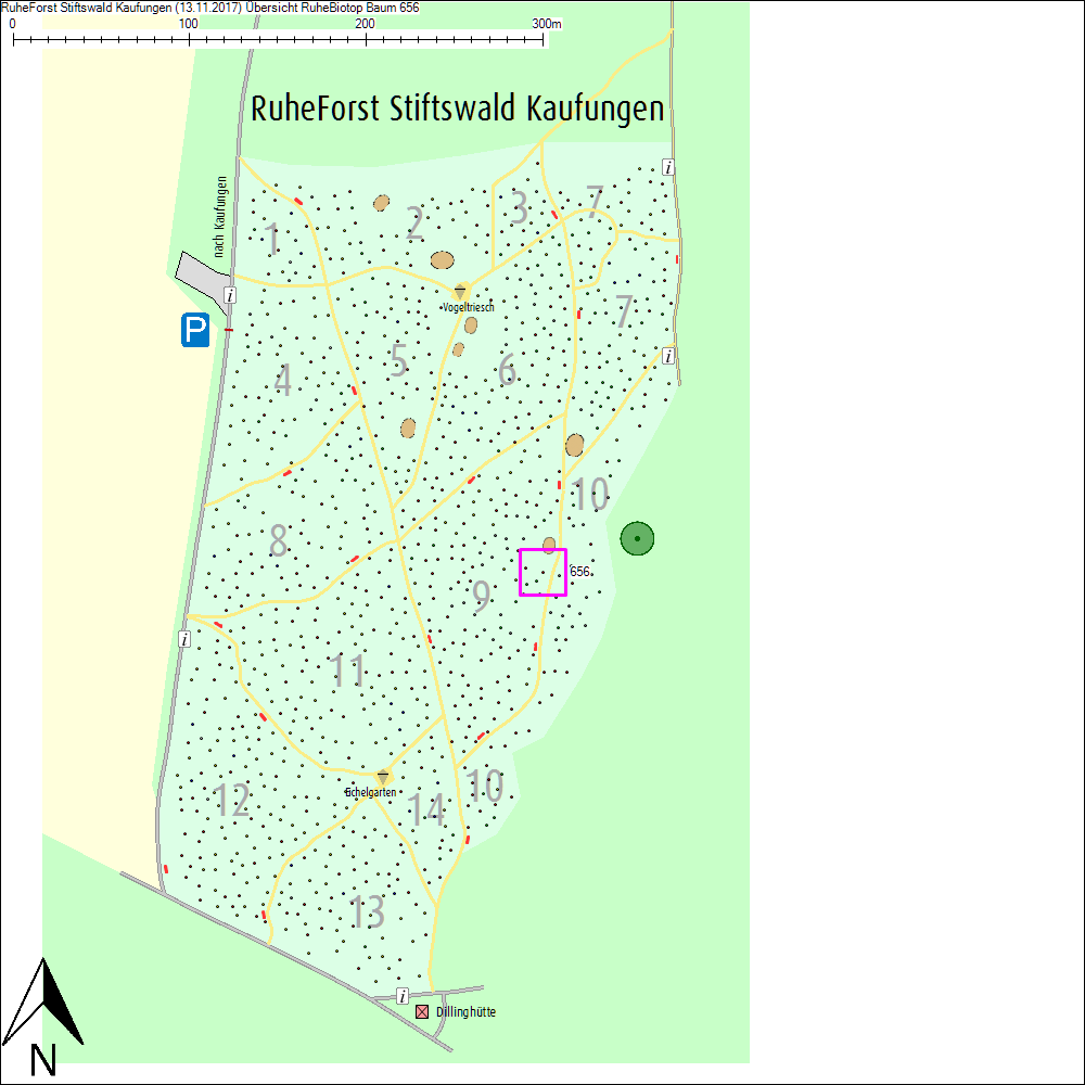 &Uuml;bersichtskarte zu Baum 656