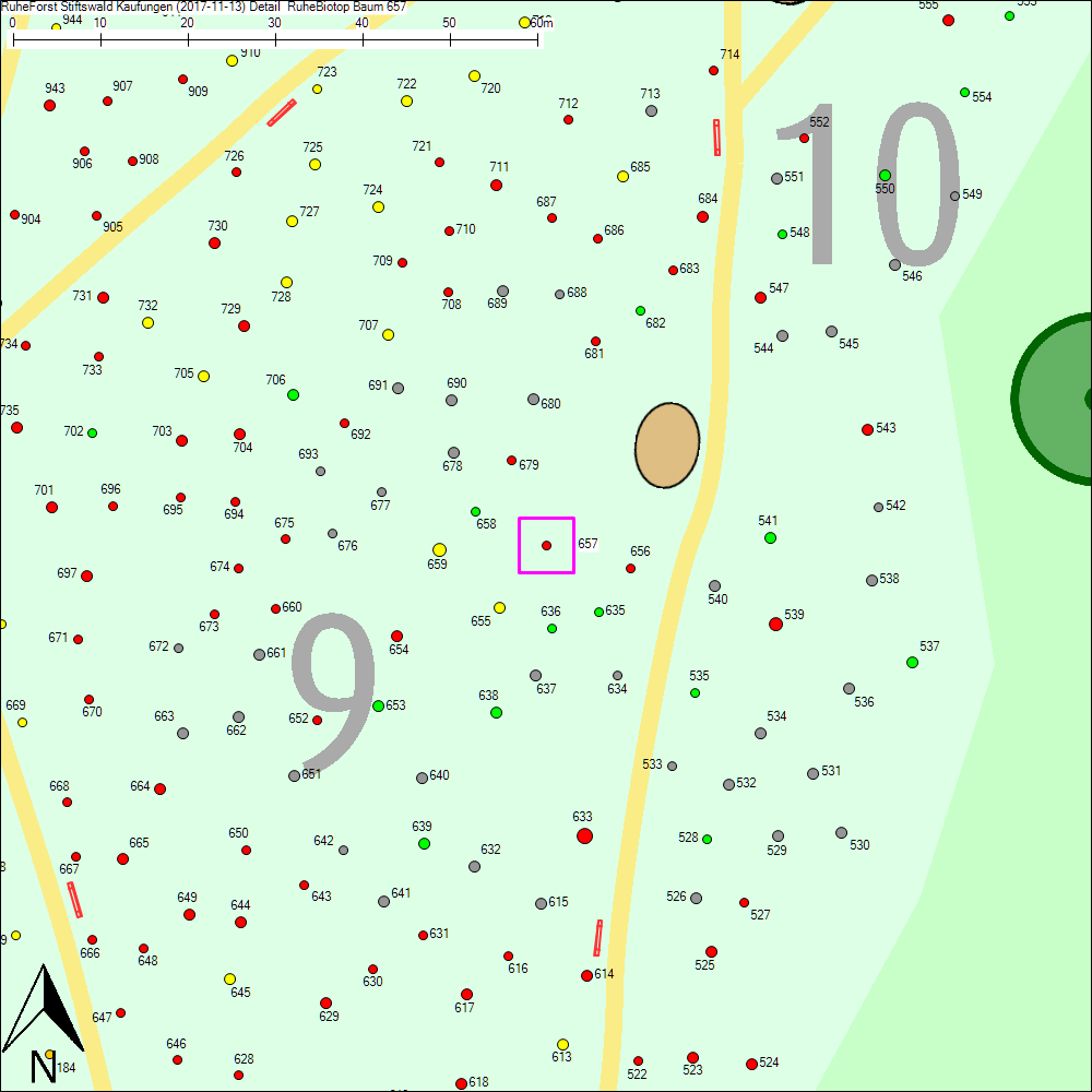 Detailkarte zu Baum 657