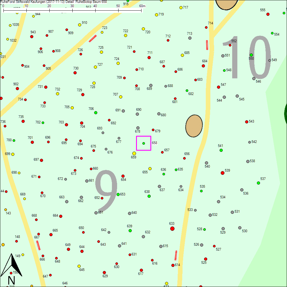 Detailkarte zu Baum 658