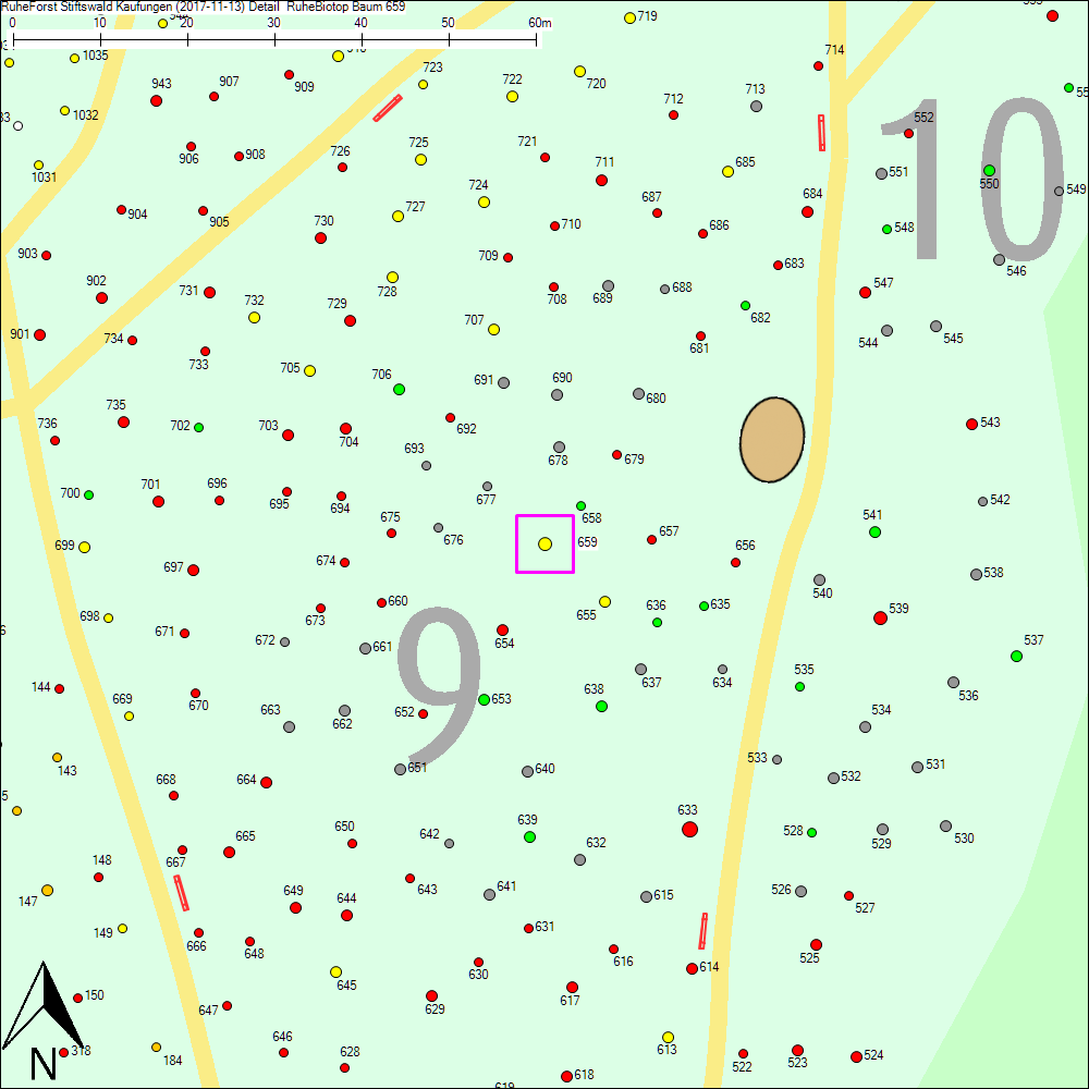 Detailkarte zu Baum 659