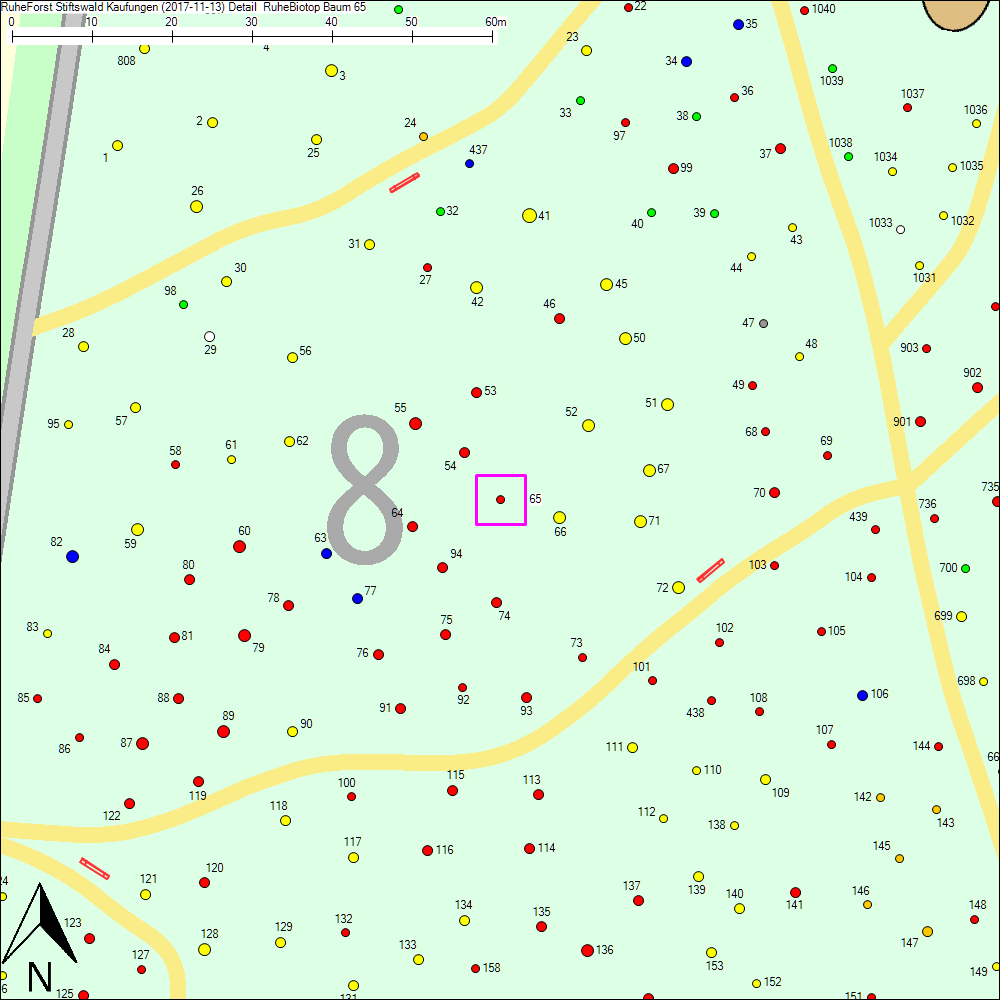 Detailkarte zu Baum 65