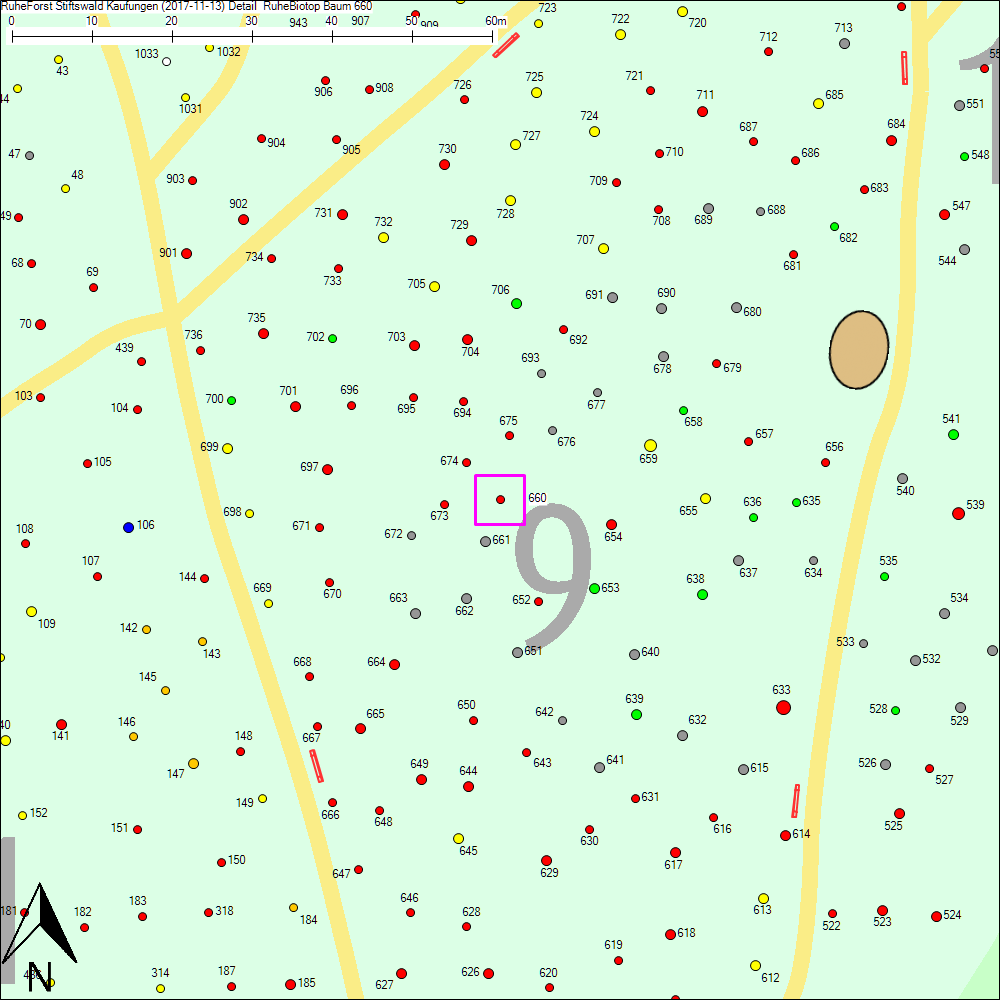 Detailkarte zu Baum 660