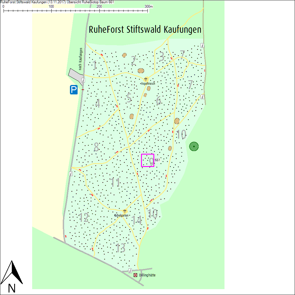 &Uuml;bersichtskarte zu Baum 661