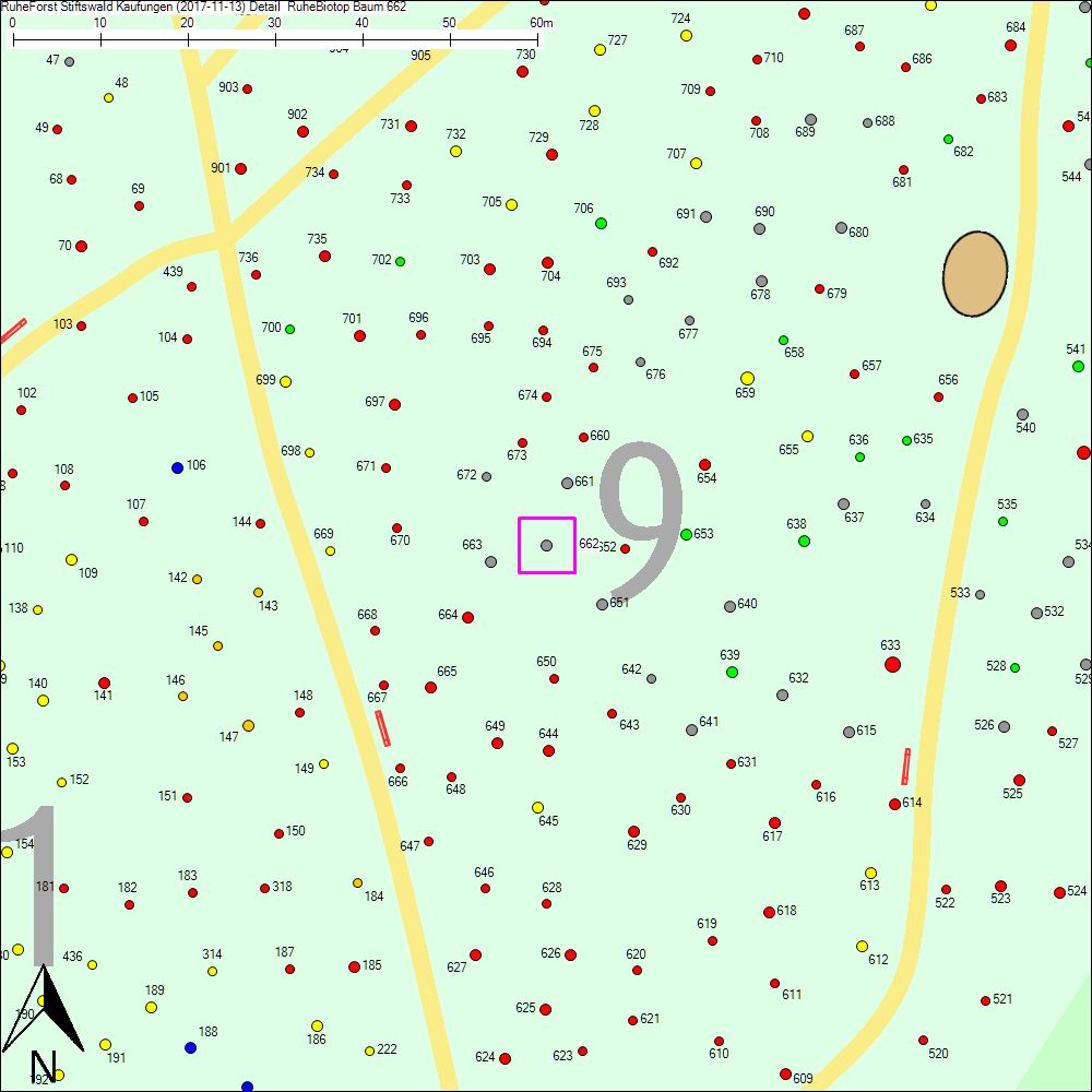 Detailkarte zu Baum 662