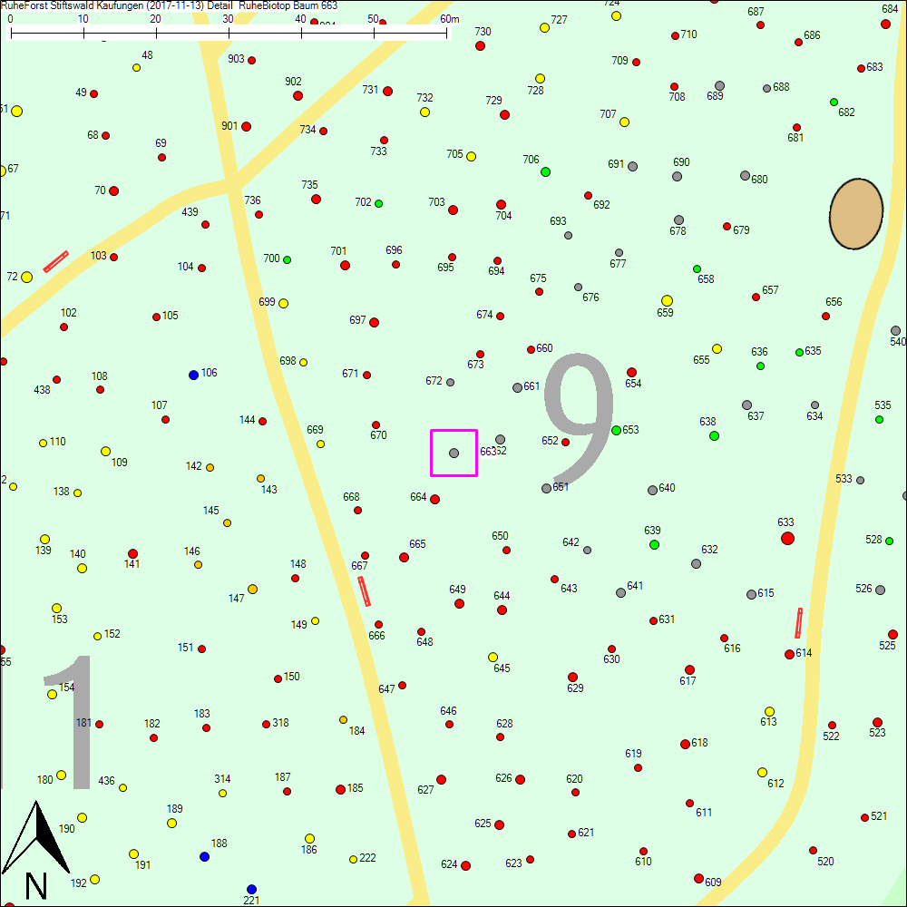 Detailkarte zu Baum 663