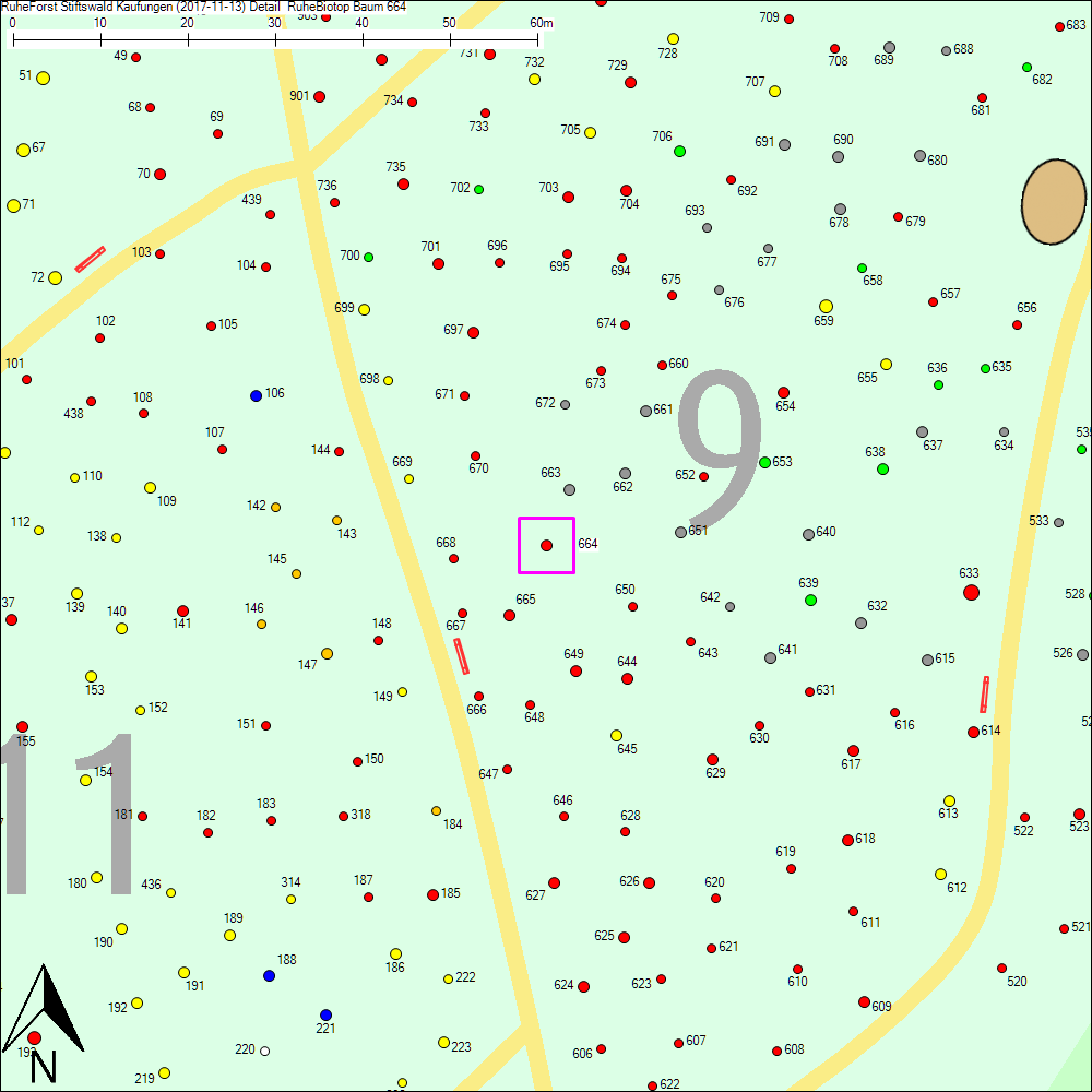 Detailkarte zu Baum 664