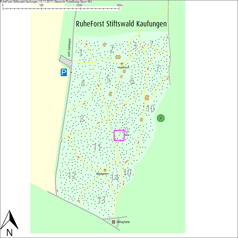 &Uuml;bersichtskarte zu Baum 664