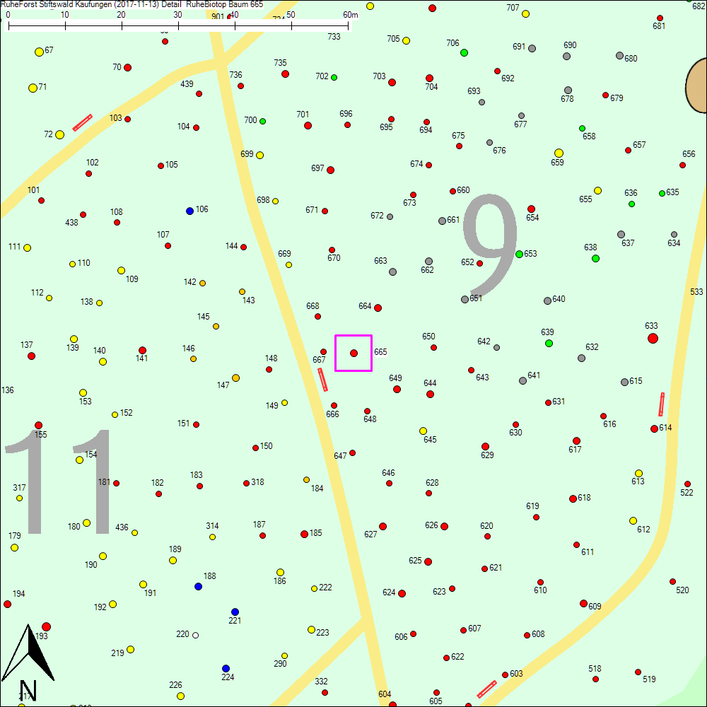 Detailkarte zu Baum 665