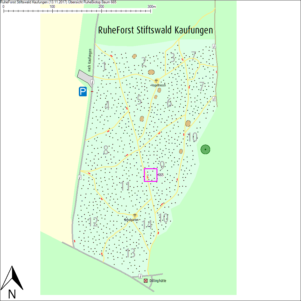 &Uuml;bersichtskarte zu Baum 665