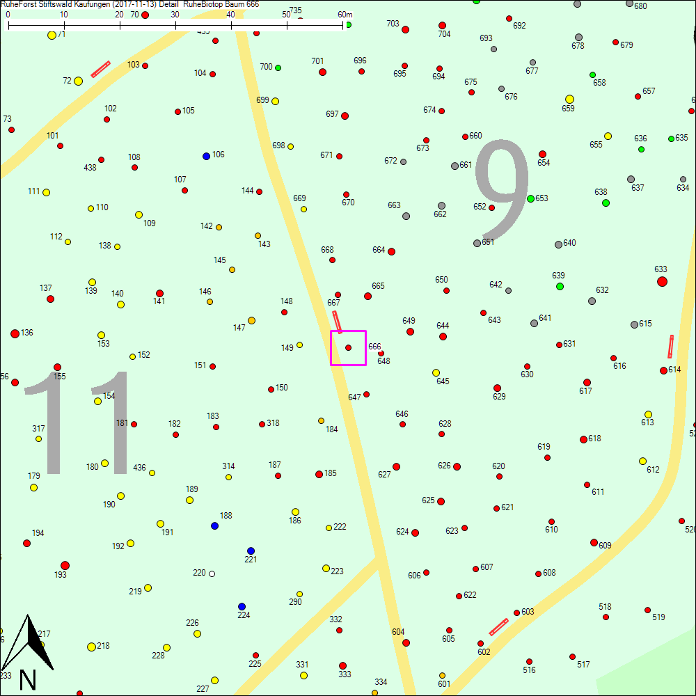 Detailkarte zu Baum 666