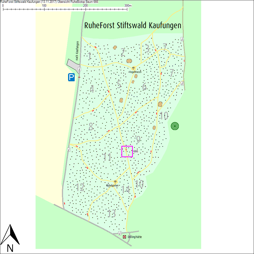 &Uuml;bersichtskarte zu Baum 666