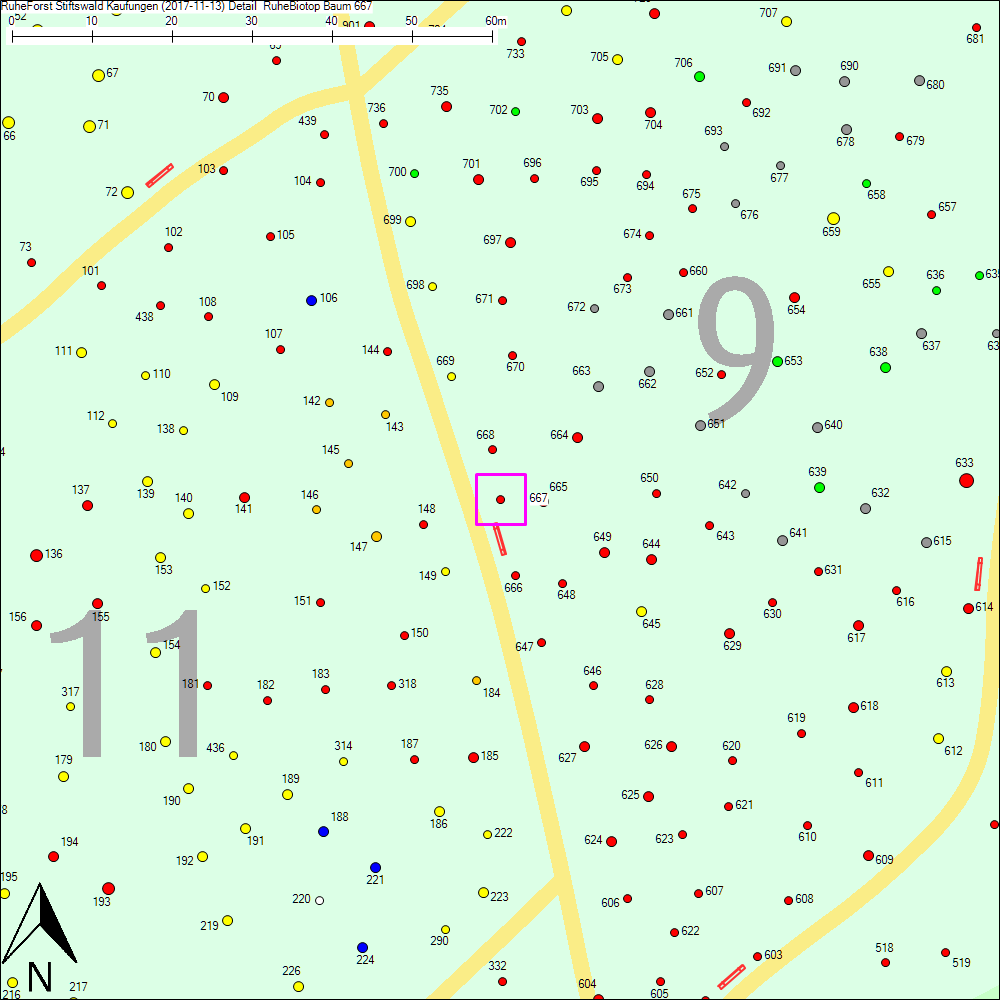 Detailkarte zu Baum 667