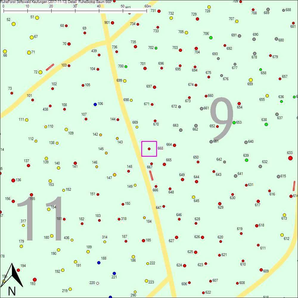 Detailkarte zu Baum 668