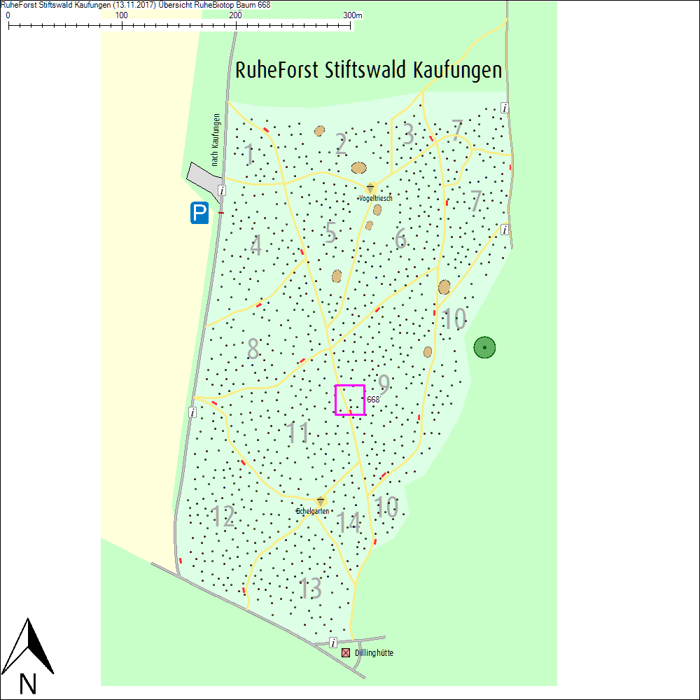 &Uuml;bersichtskarte zu Baum 668