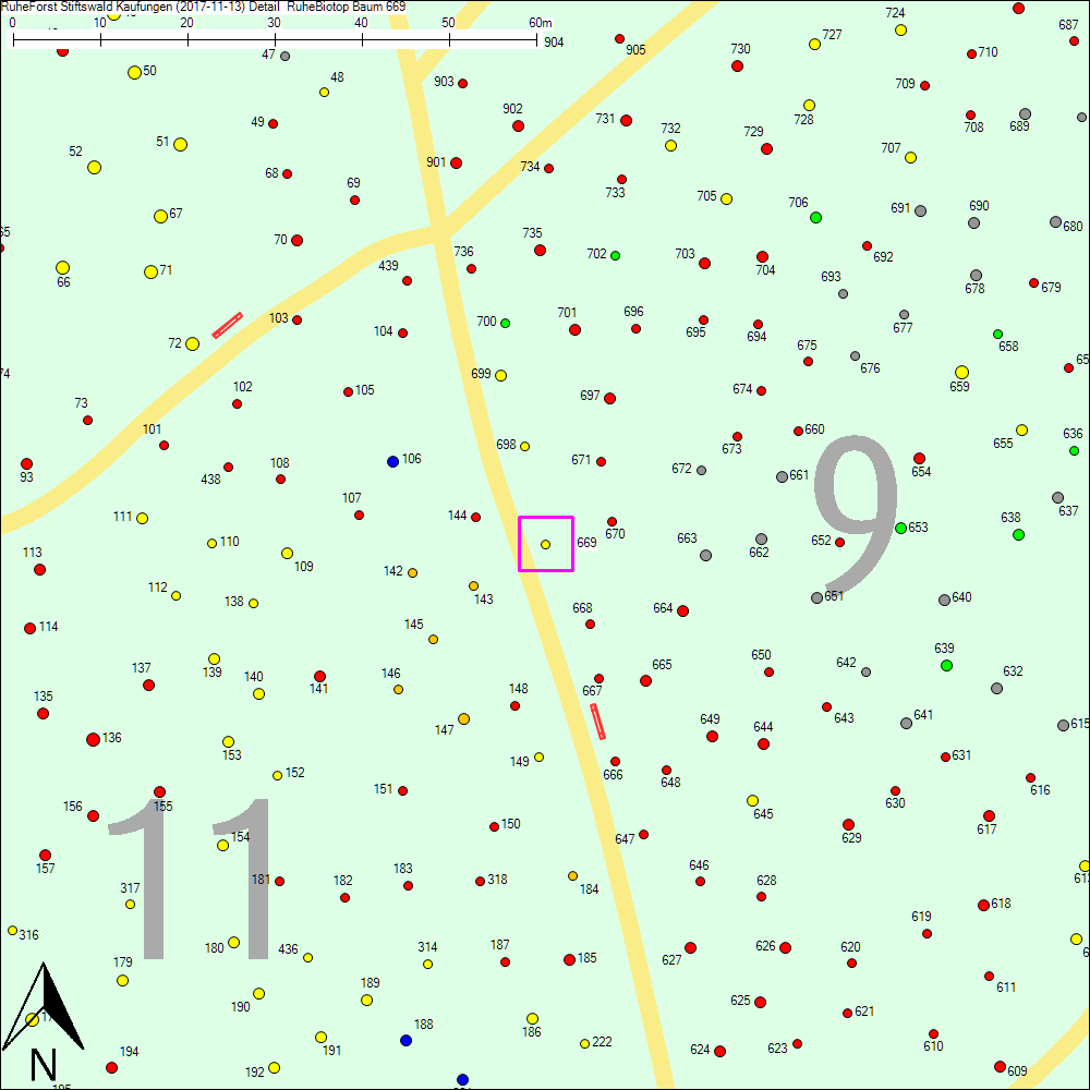 Detailkarte zu Baum 669