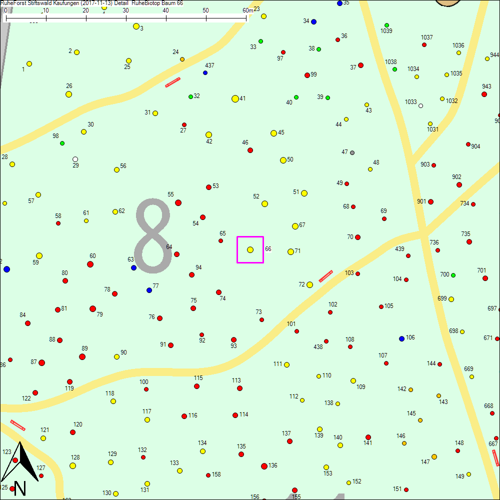 Detailkarte zu Baum 66