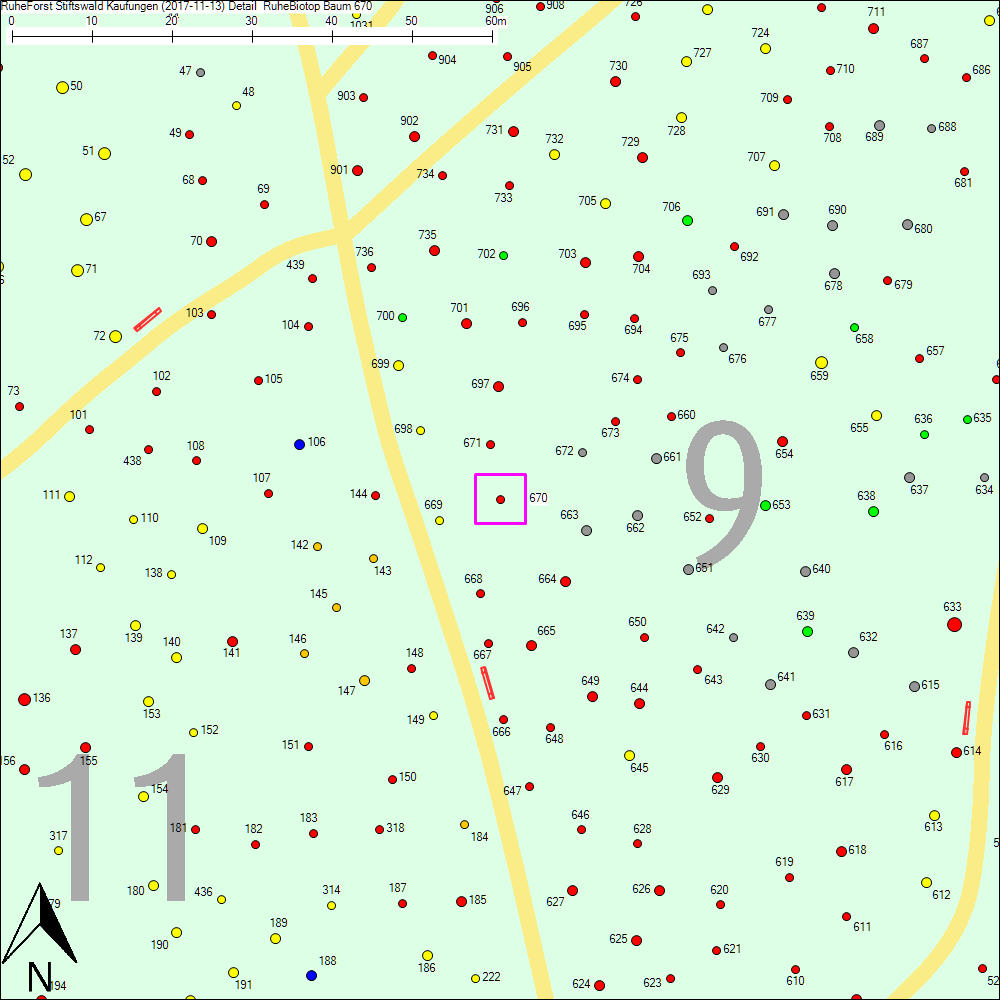 Detailkarte zu Baum 670