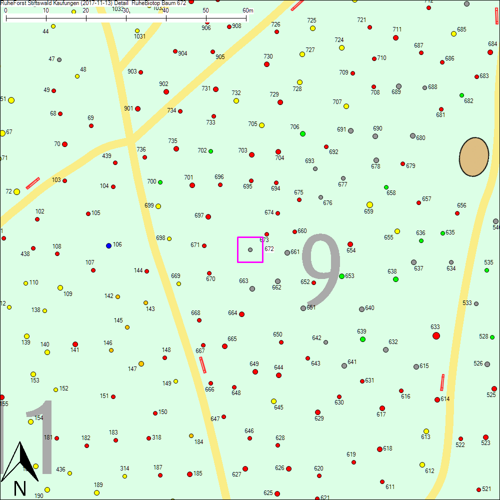 Detailkarte zu Baum 672