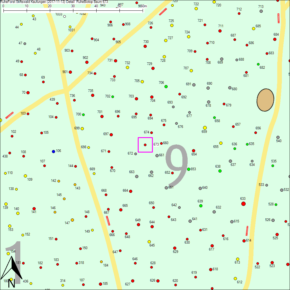 Detailkarte zu Baum 673