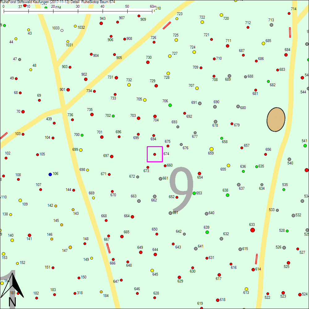 Detailkarte zu Baum 674