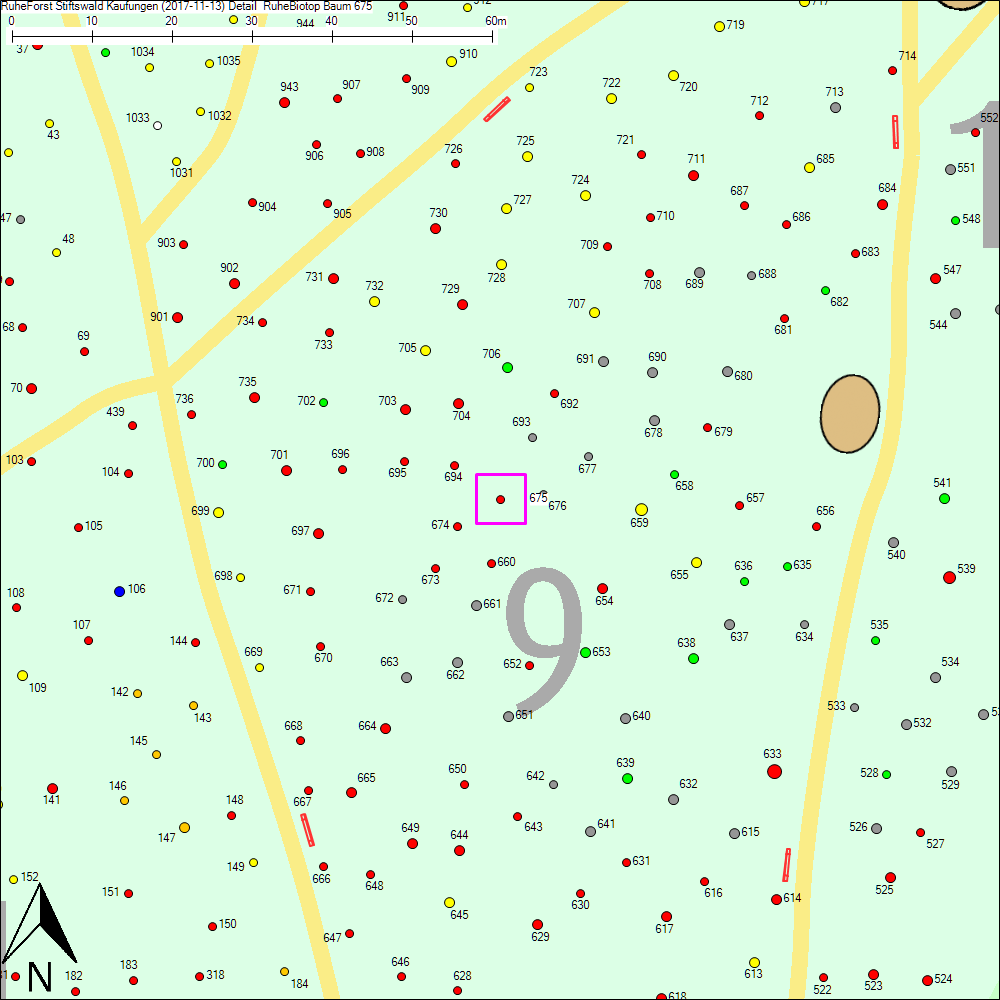 Detailkarte zu Baum 675