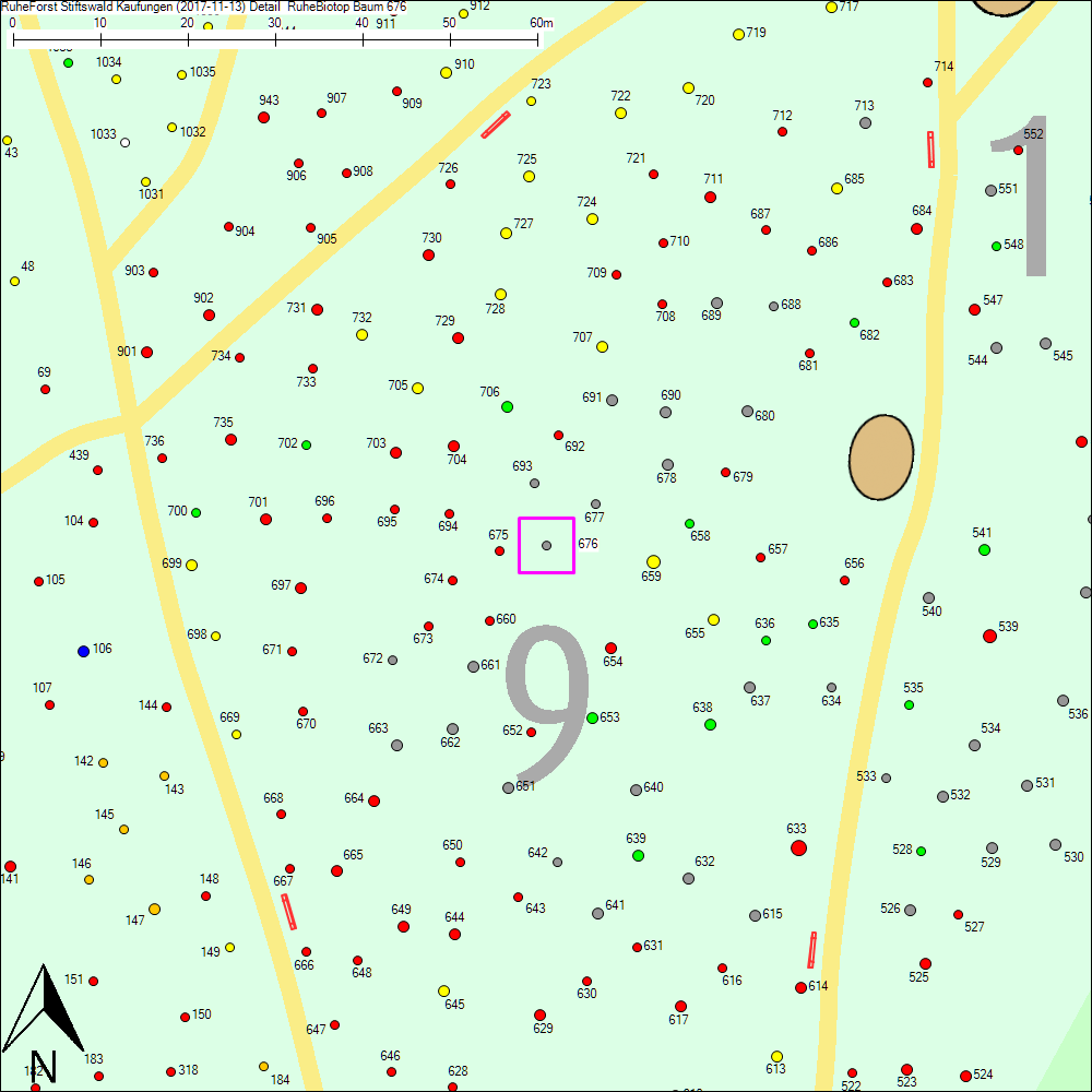 Detailkarte zu Baum 676