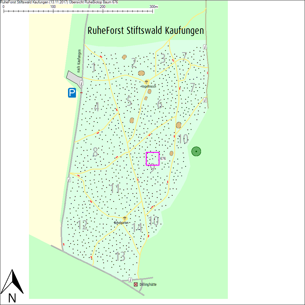 &Uuml;bersichtskarte zu Baum 676