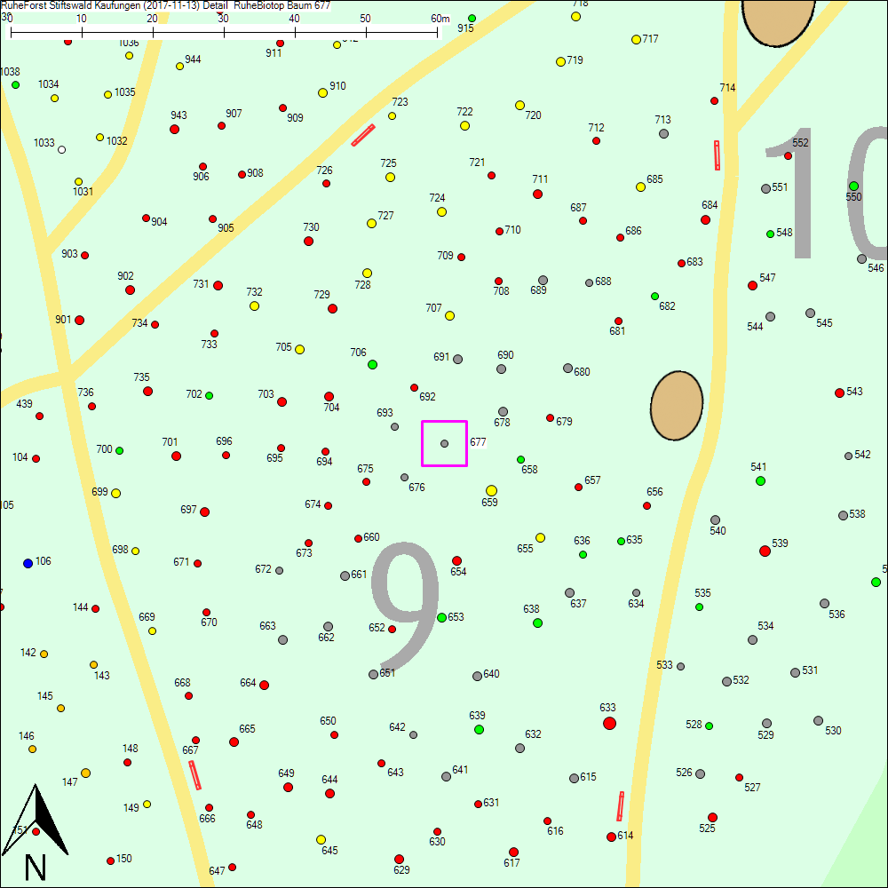 Detailkarte zu Baum 677