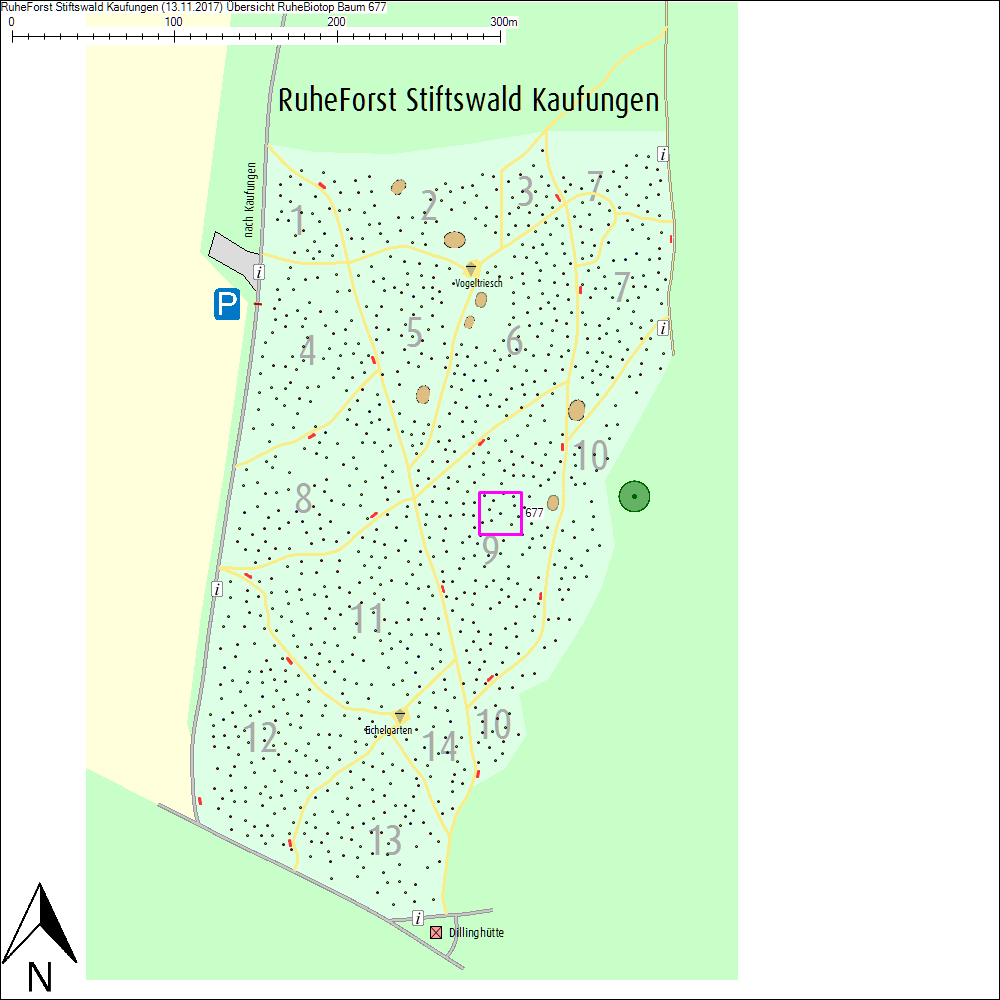 &Uuml;bersichtskarte zu Baum 677