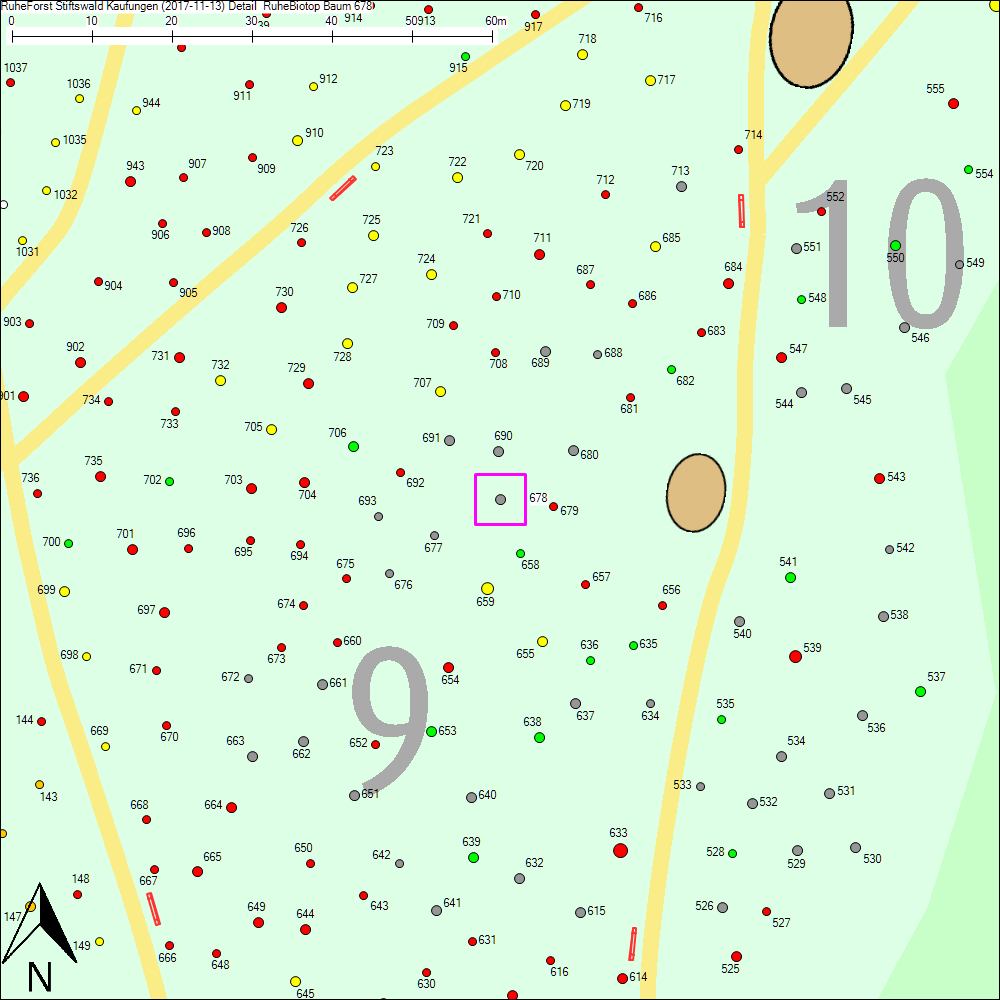 Detailkarte zu Baum 678