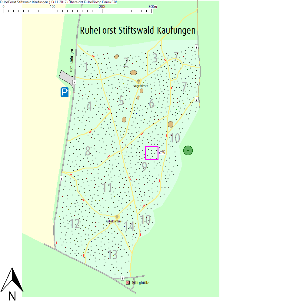 &Uuml;bersichtskarte zu Baum 678