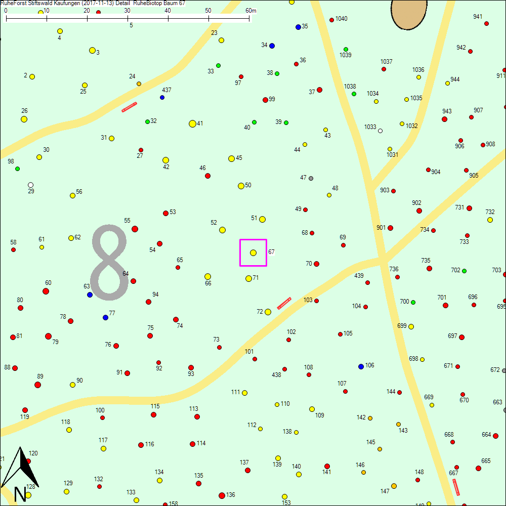 Detailkarte zu Baum 67