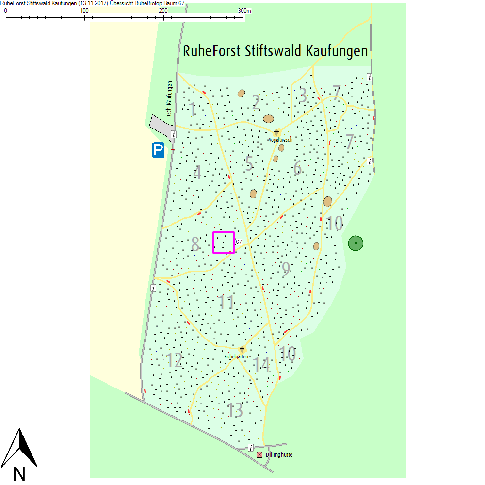 &Uuml;bersichtskarte zu Baum 67