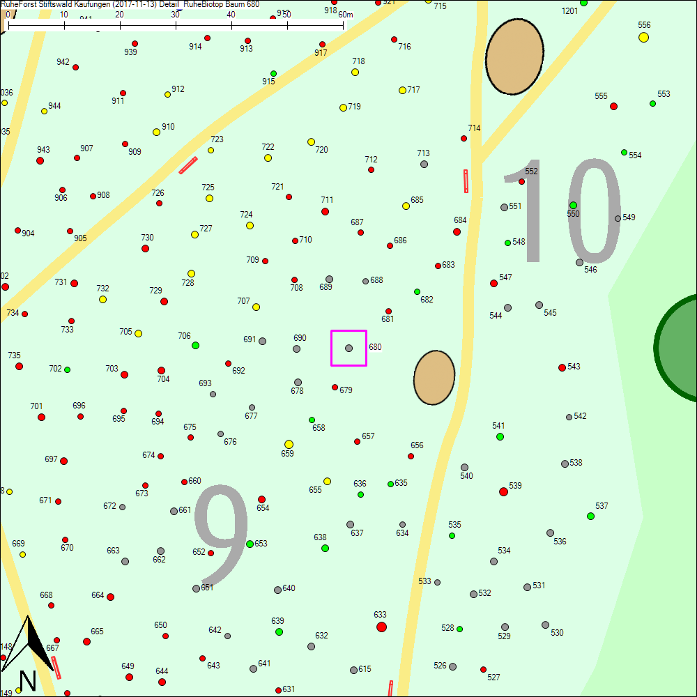 Detailkarte zu Baum 680