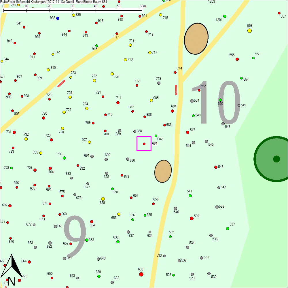 Detailkarte zu Baum 681