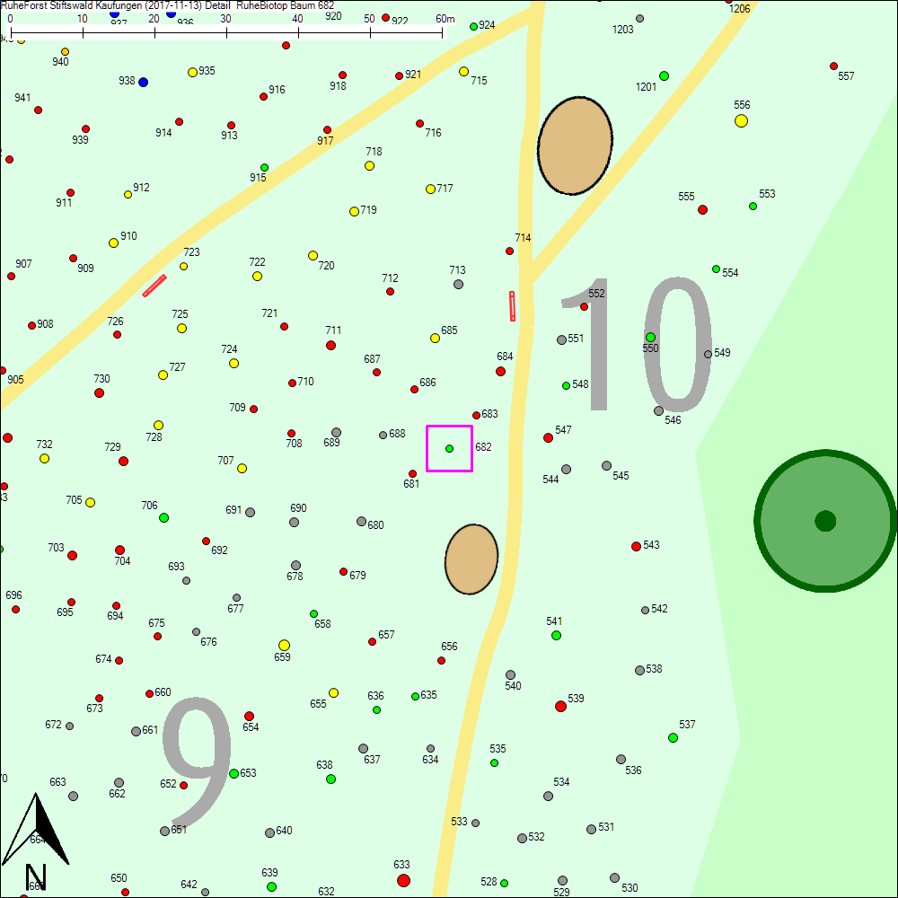 Detailkarte zu Baum 682