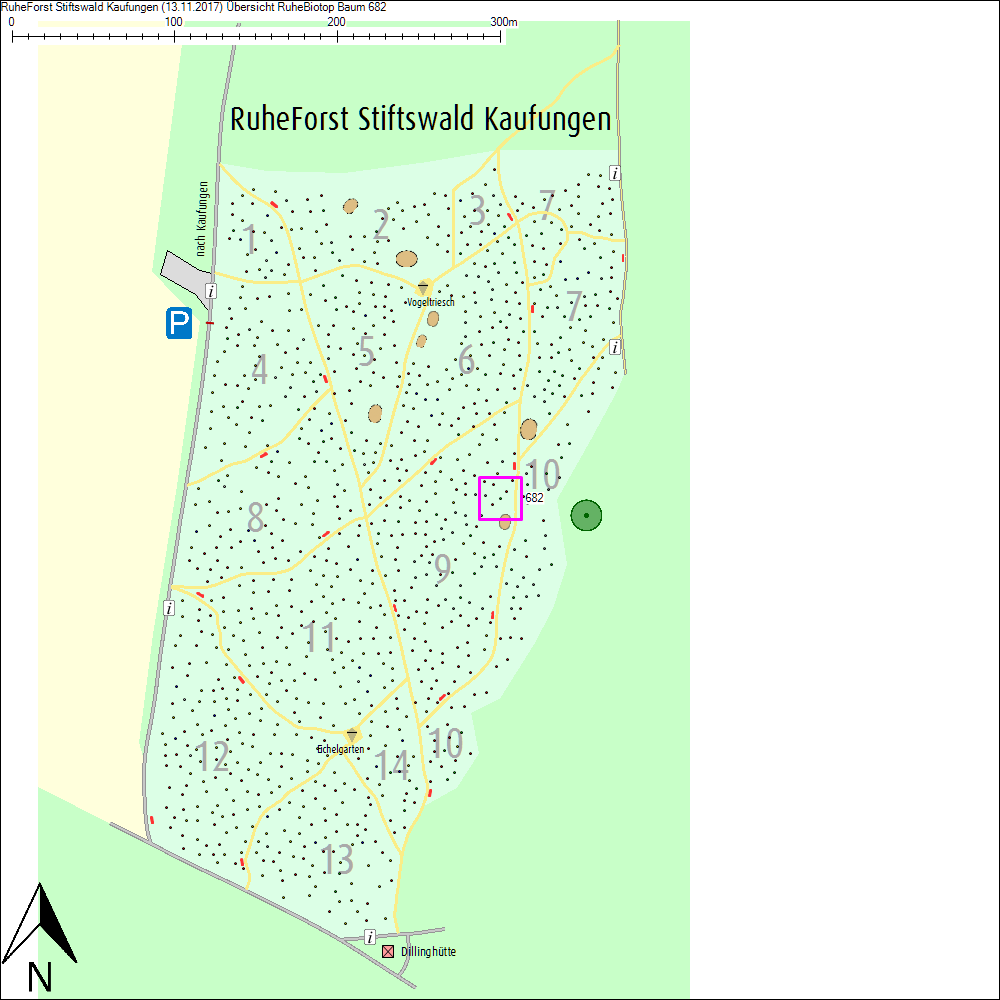 &Uuml;bersichtskarte zu Baum 682