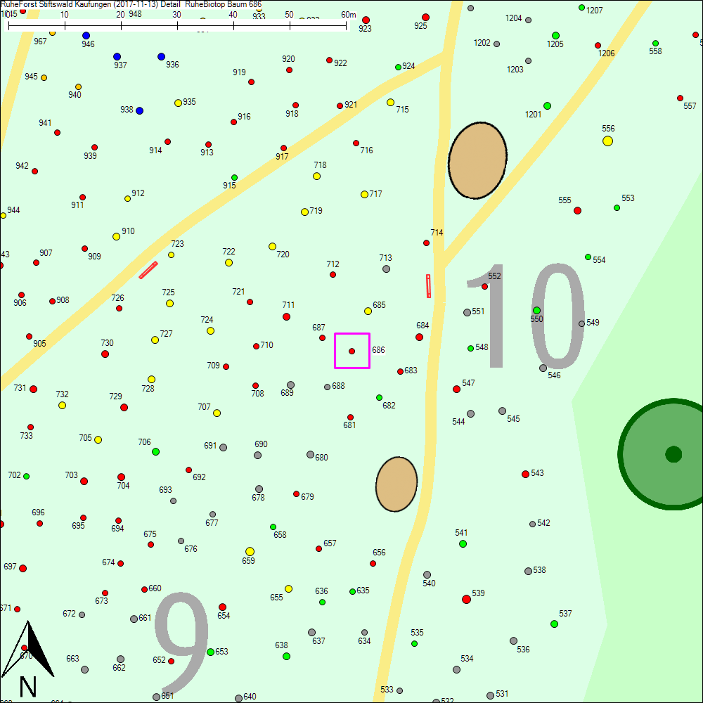 Detailkarte zu Baum 686